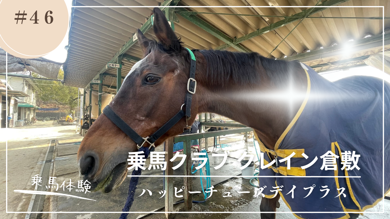 ハッピーチューズデイプラス