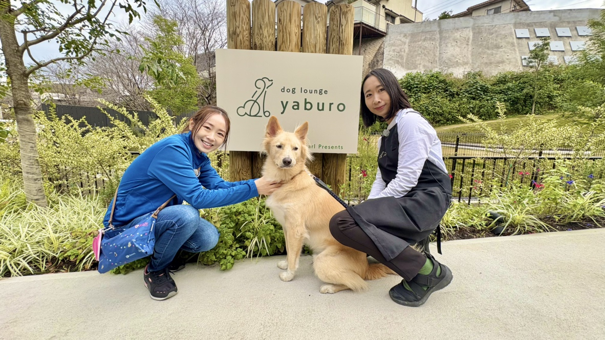 （終）Wan two Step!