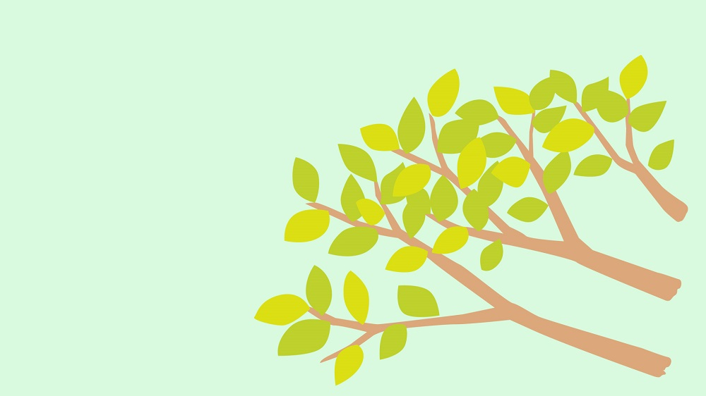 兵庫県住みます芸人 モンスーンのあかし歩きますーん #02